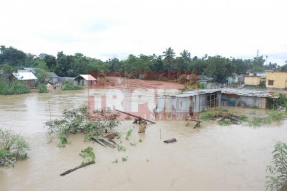 Incessant rains hit crops, normal life in northeast Incessant rains hit crops, normal life in northeast